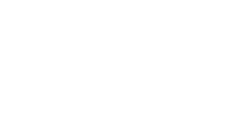 The Firm